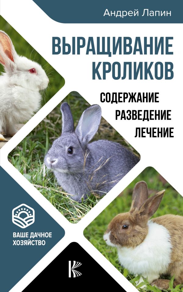 Популярные книги