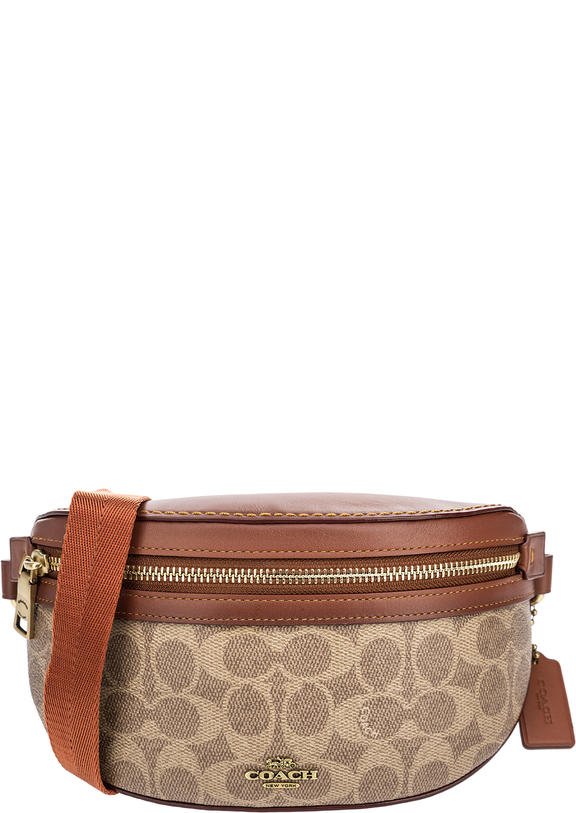 coach small skylar hobo bag