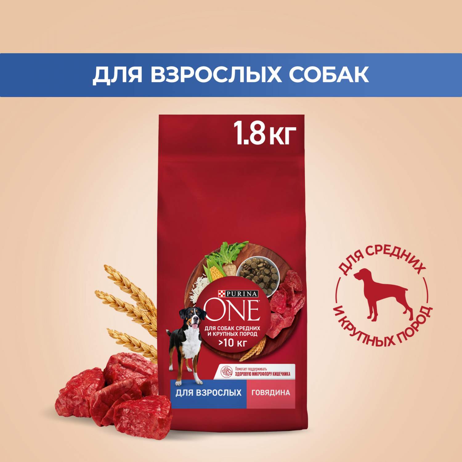 Сухой корм для собак Purina ONE для средних и крупных пород с говядиной и  рисом, 1,8 кг - отзывы покупателей на маркетплейсе Мегамаркет | Артикул  товара:100024869732