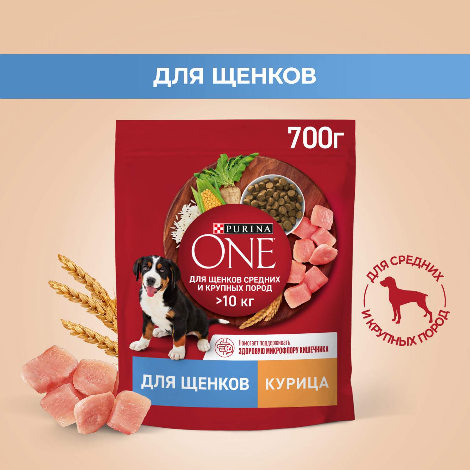 Сухой корм для щенков Purina ONE для средних и крупных пород c курицей и  рисом, 700 г - отзывы покупателей на маркетплейсе Мегамаркет | Артикул  товара:100024869738