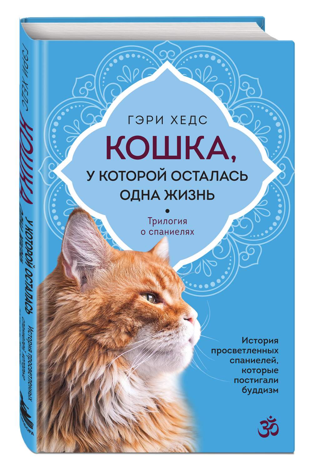 Кошка, у которой осталась одна жизнь - купить дома и досуга в  интернет-магазинах, цены на Мегамаркет | 978-5-04-177608-4