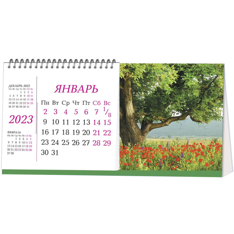 Календарь на 2025 год складной