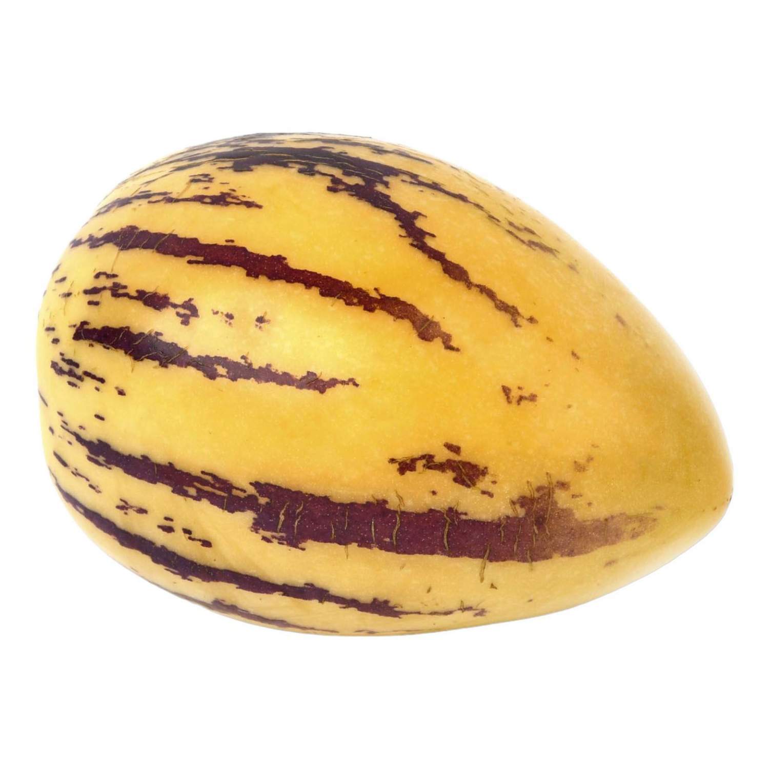 пепино что это за растение