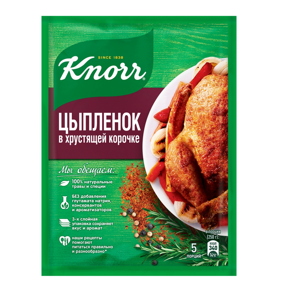 Купить приправа Knorr На второе сочный цыпленок с чесноком 29 г, цены на  Мегамаркет | Артикул: 100028800938