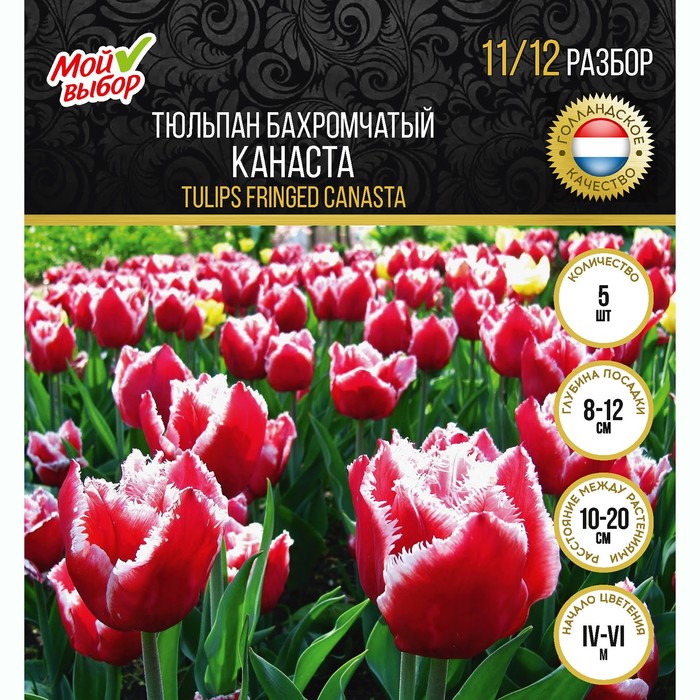 Тюльпаны Томск Купить