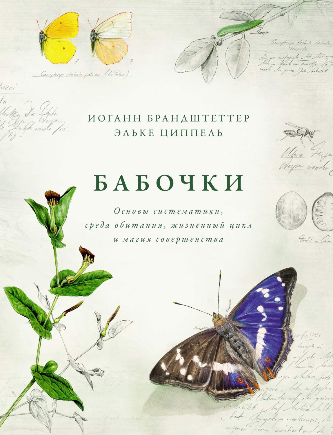 Книга Бабочки. Основы систематики, среда обитания, жизненный цикл и магия  совершенства - купить биологии в интернет-магазинах, цены на Мегамаркет |  978-5-389-17727-7