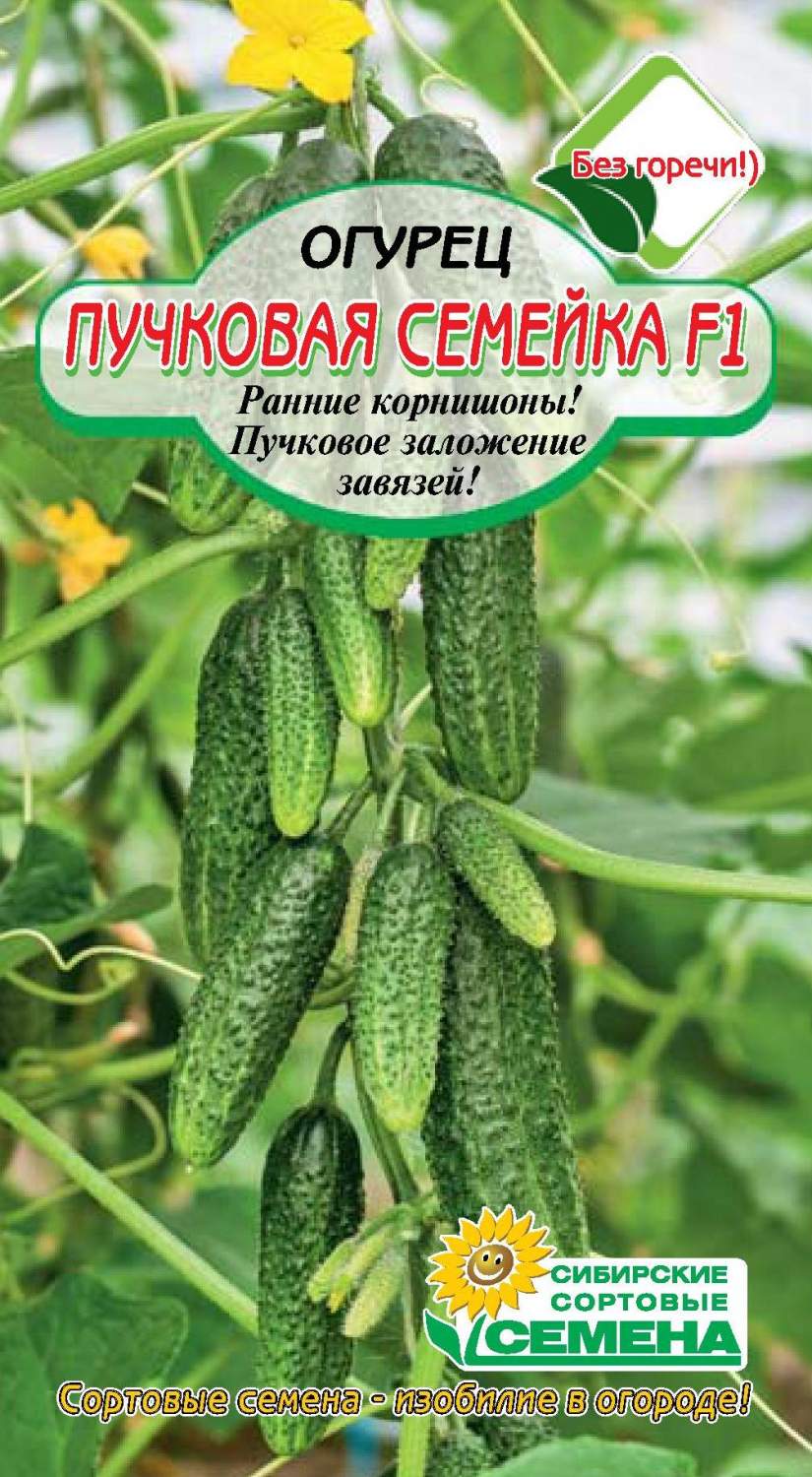 Сорта пучковых огурцов