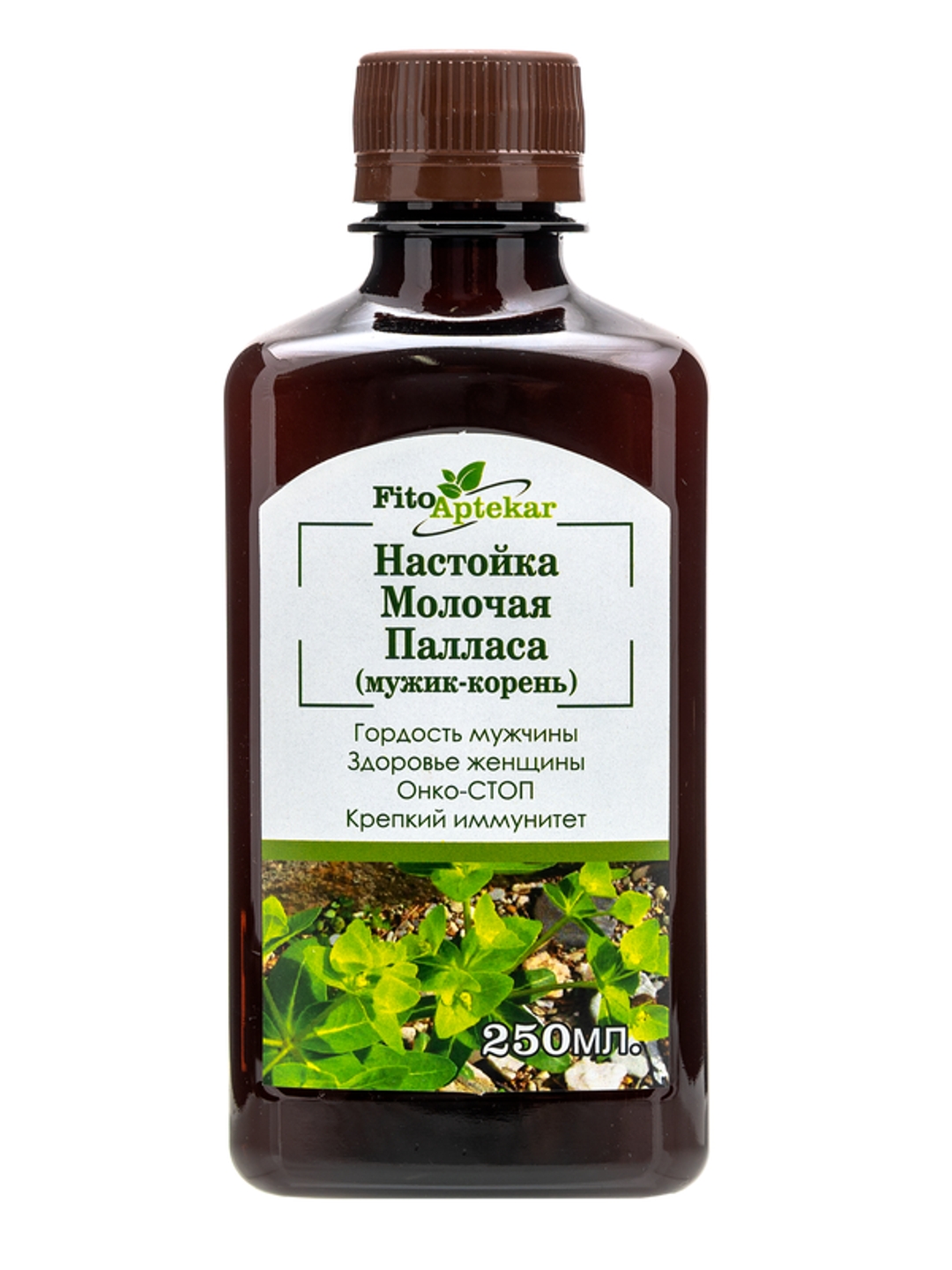 Настойка молочая Палласа Фито-Аптекарь 250 мл – купить в Москве, цены в  интернет-магазинах на Мегамаркет