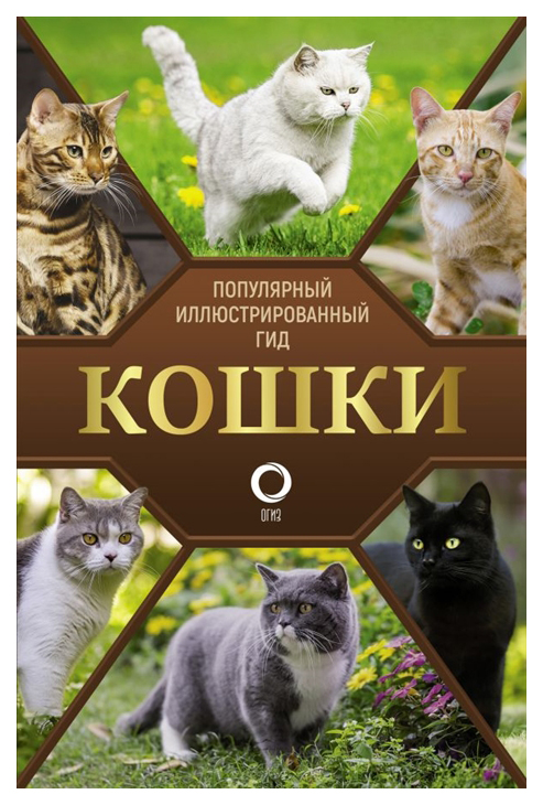 Кошки - купить книги о животных в интернет-магазинах, цены на Мегамаркет |