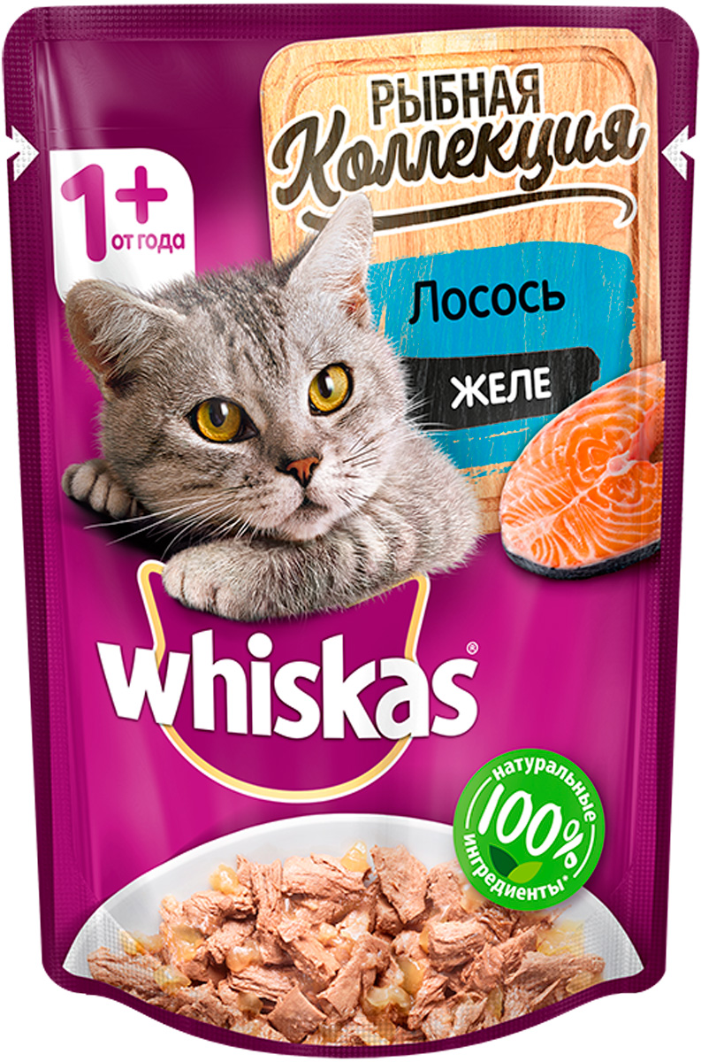 Влажный корм для кошек Whiskas Рыбная коллекция, с лососем в желе, 85г -  отзывы покупателей на маркетплейсе Мегамаркет | Артикул товара:600001700389