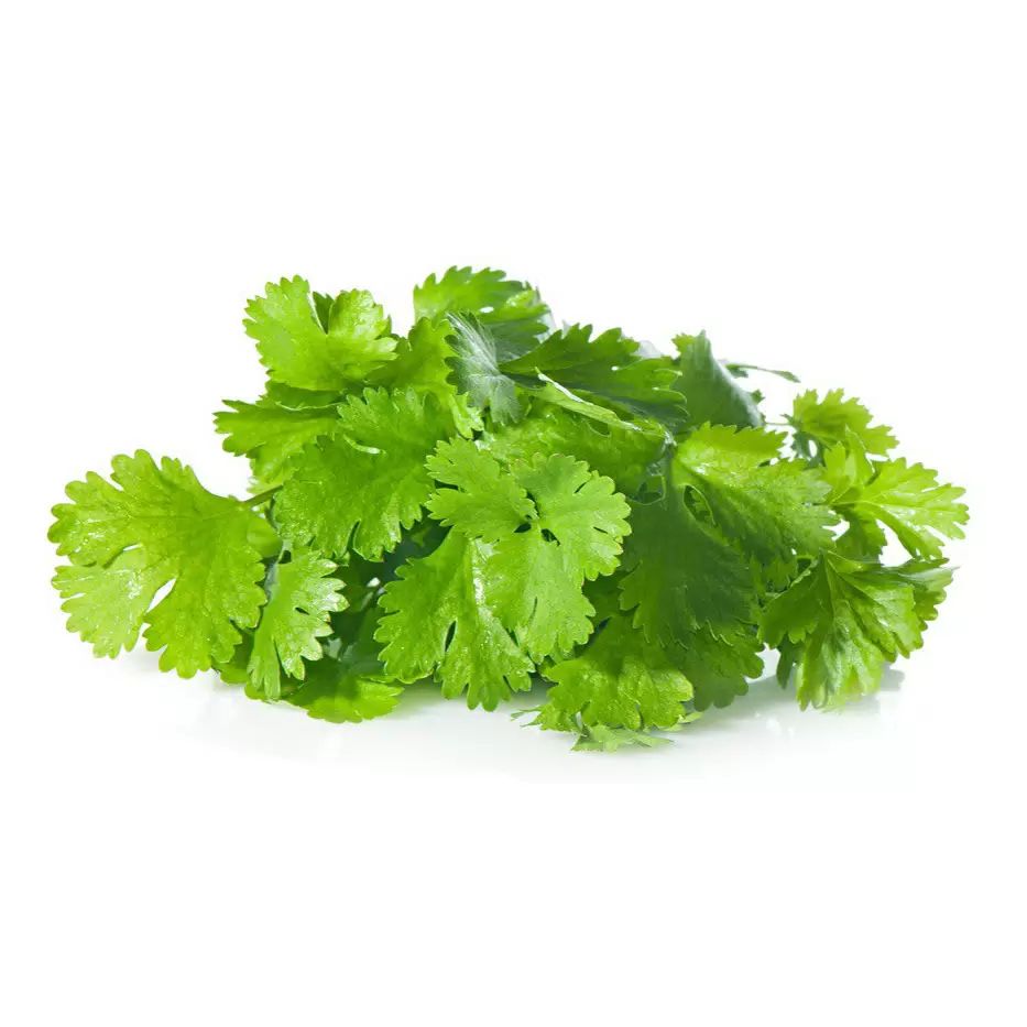 Кинза Озон