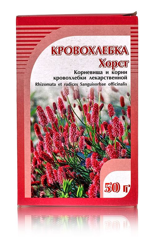 Как выглядят семена кровохлебки фото