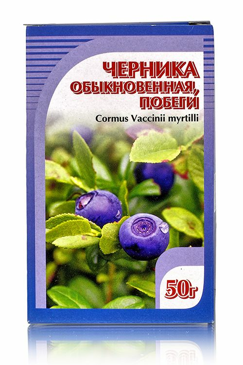 Побеги черничника. Черника побеги 50г. Побеги черники обыкновенной. Черника обыкновенная лекарственное сырье. Побеги черники обыкновенной.