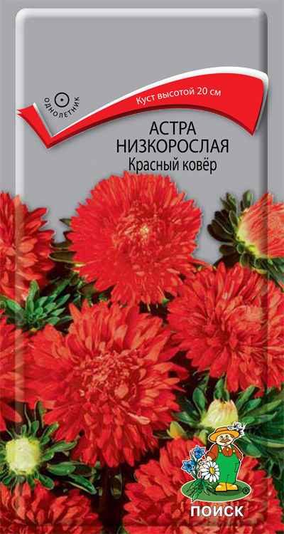 Цветы своими руками из конфет: астры, подсолнух и другие