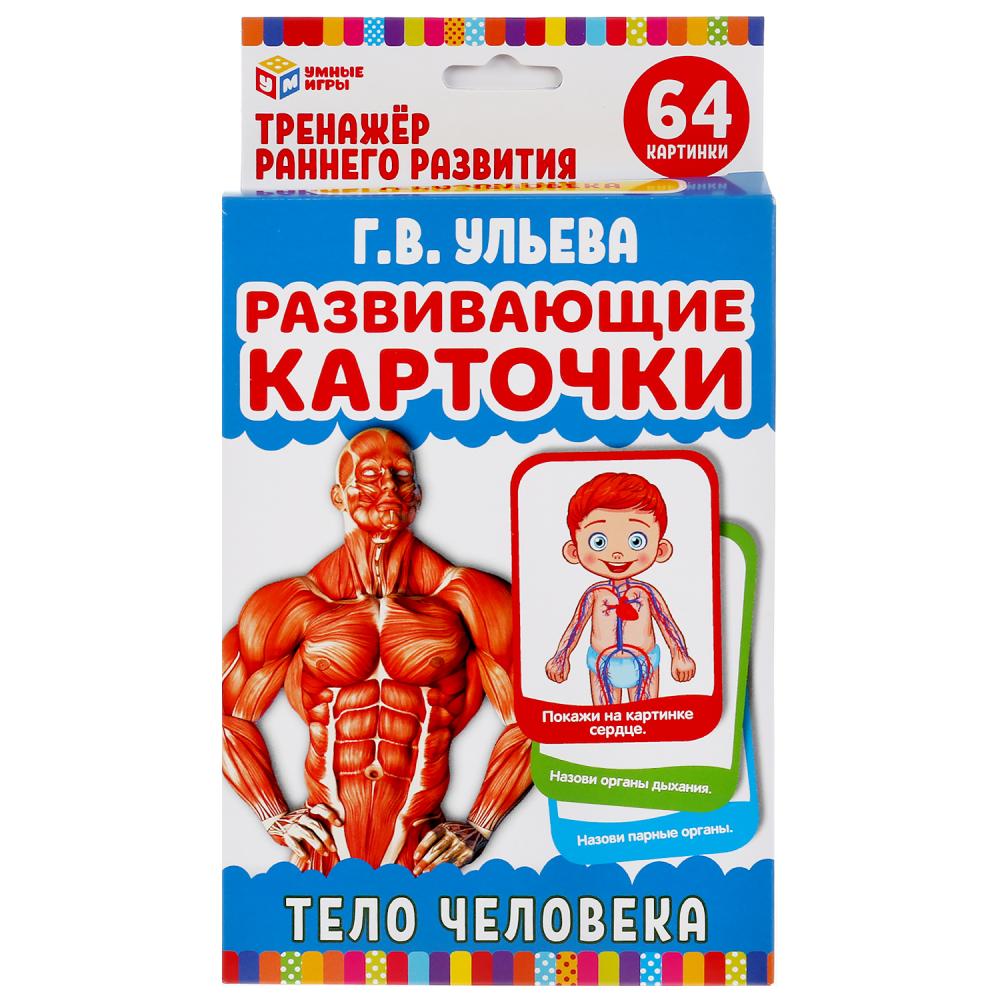 Купить тЕЛО ЧЕЛОВЕКА Г.В.УЛЬЕВА УМНЫЕ ИГРЫ КАРТОЧКИ РАЗВИВАЮЩИЕ (32  КАРТОЧКИ 107Х157ММ), цены на Мегамаркет