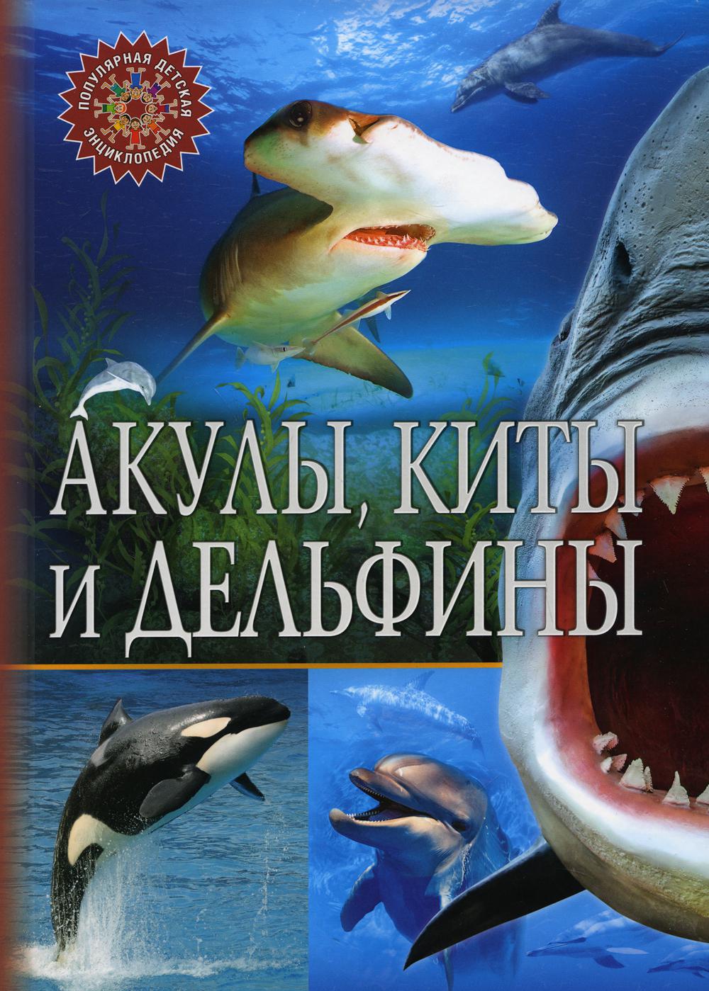 Акулы, киты и дельфины - купить детской энциклопедии в интернет-магазинах,  цены на Мегамаркет | 7870