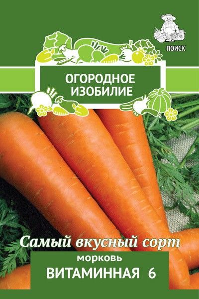 Морковь Витаминная 6 описание сорта, фото и отзывы
