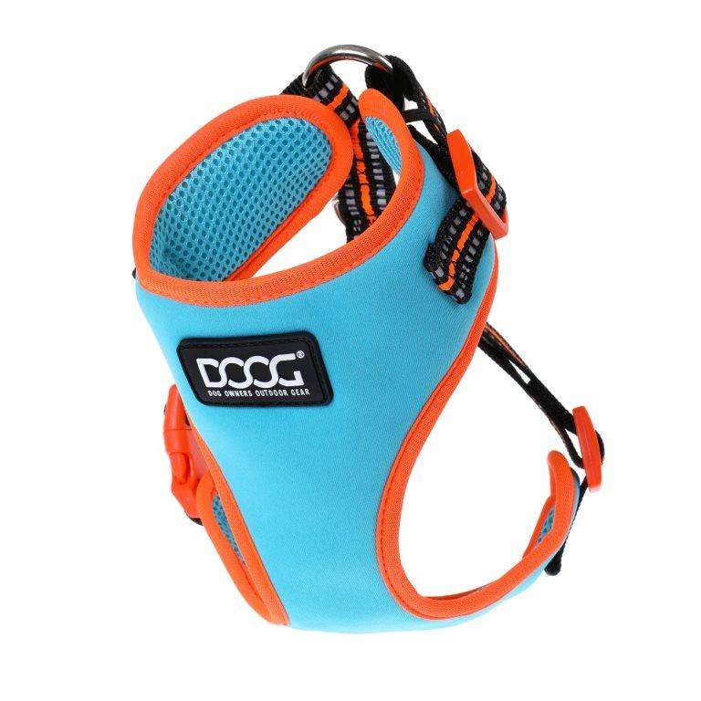 Doog dog store owners outdoor gear