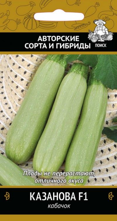 Кабачок Казанова: описание и характеристики сорта, посадка и выращивание, отзывы