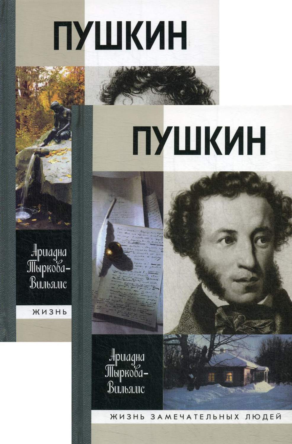 Книга Пушкин - купить биографий и мемуаров в интернет-магазинах, цены в  Москве на Мегамаркет | 1347