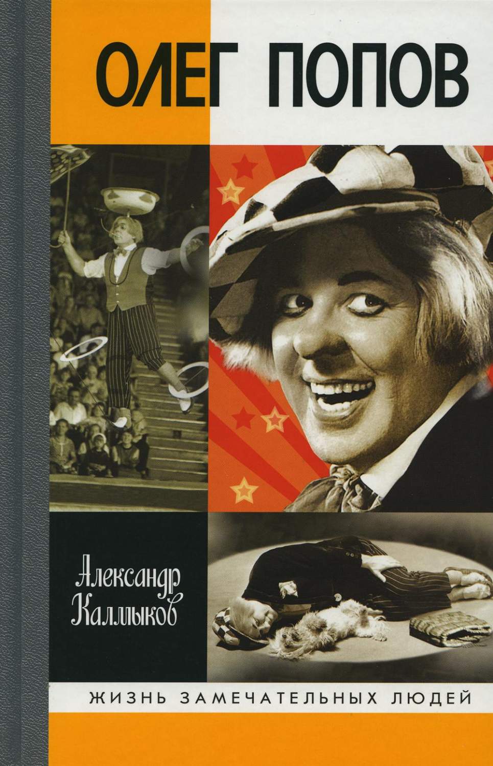 Олег Попов: Невыдуманные истории из жизни Солнечного клоуна - купить  биографий и мемуаров в интернет-магазинах, цены на Мегамаркет | 1347