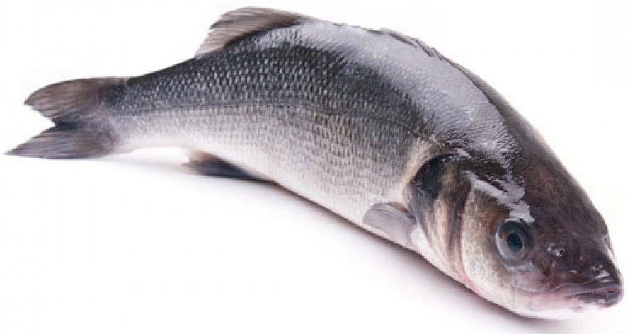 Сибас рыба: что это за рыба и как ее приготовить