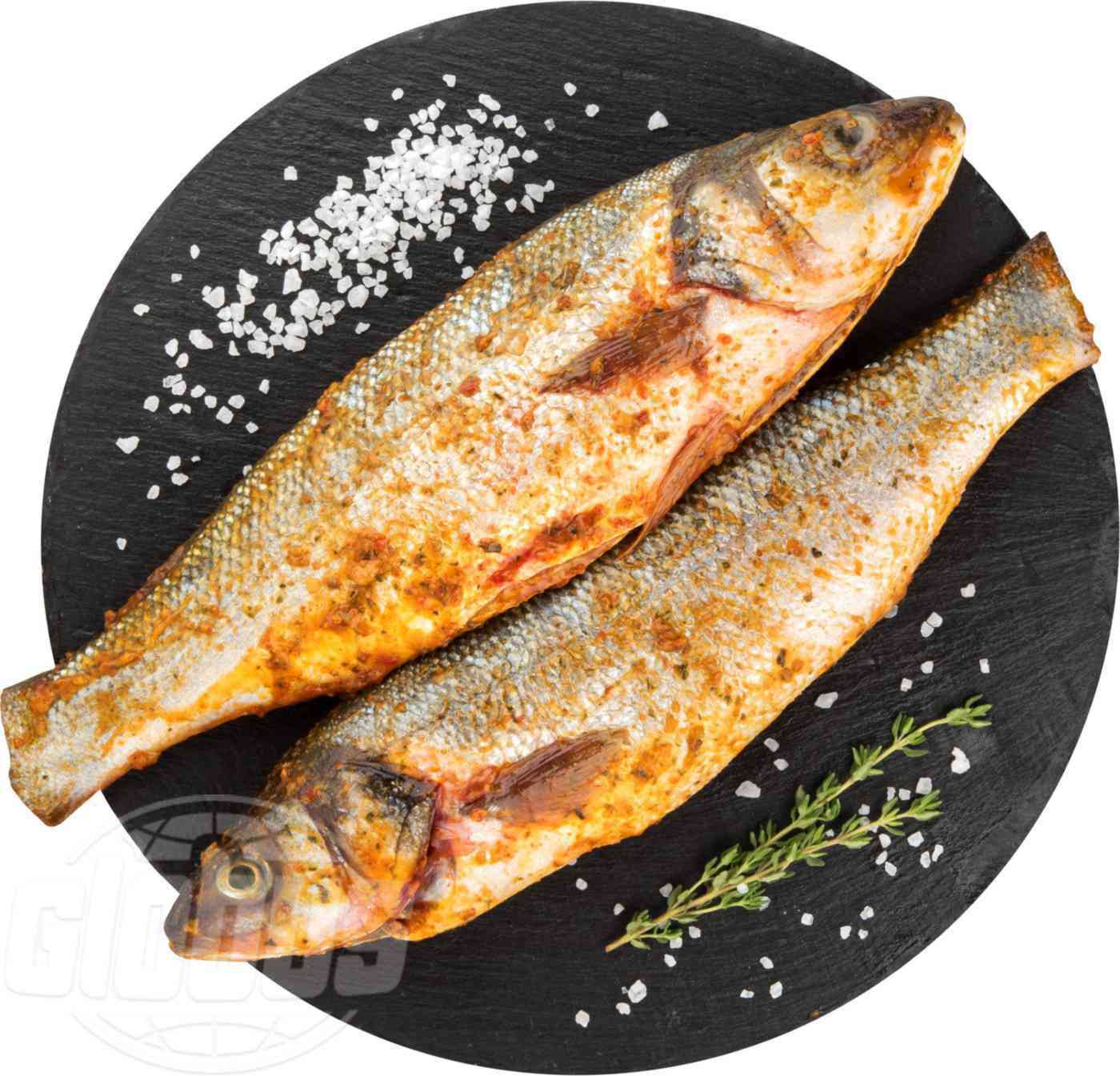 Сибас жирный сорт рыбы или нет - информация и особенности