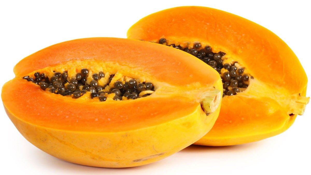 papaya net worth - Ilustrasi 2