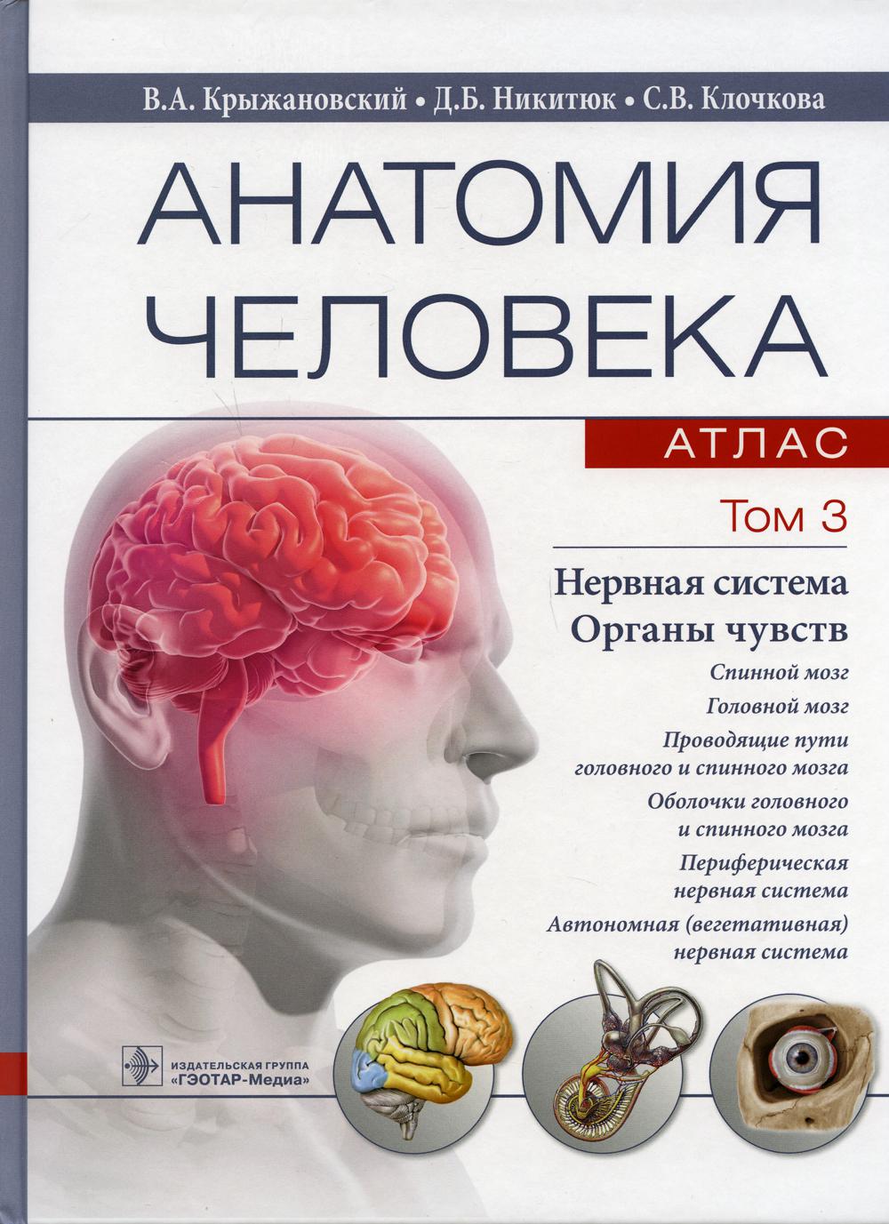 Анатомия человека атлас Том 3 в 3 томах Нервная система - купить спорта,  красоты и здоровья в интернет-магазинах, цены на Мегамаркет | 9883650