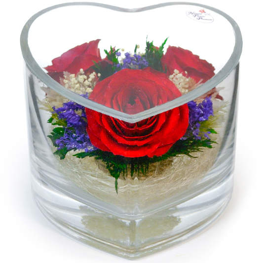 Розы в стекле HMR (12 см) - отзывы покупателей на Мегамаркет