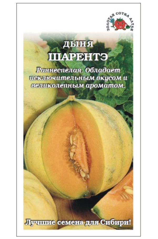 Дыня Птичье Молоко Семена Алтая Купить