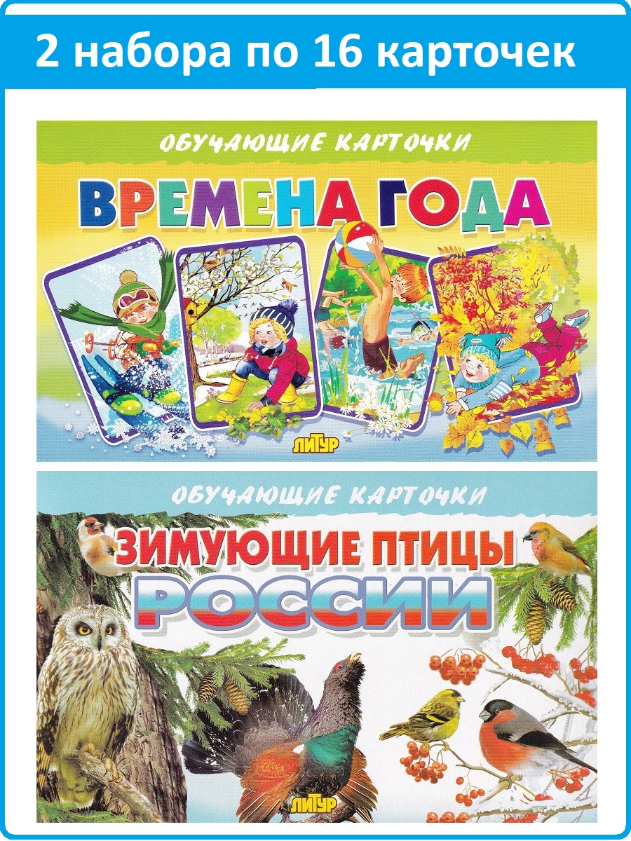 Обучающие карточки: Времена года, Зимующие птицы России (2 комплекта) -  купить развивающие книги для детей в интернет-магазинах, цены на Мегамаркет  |