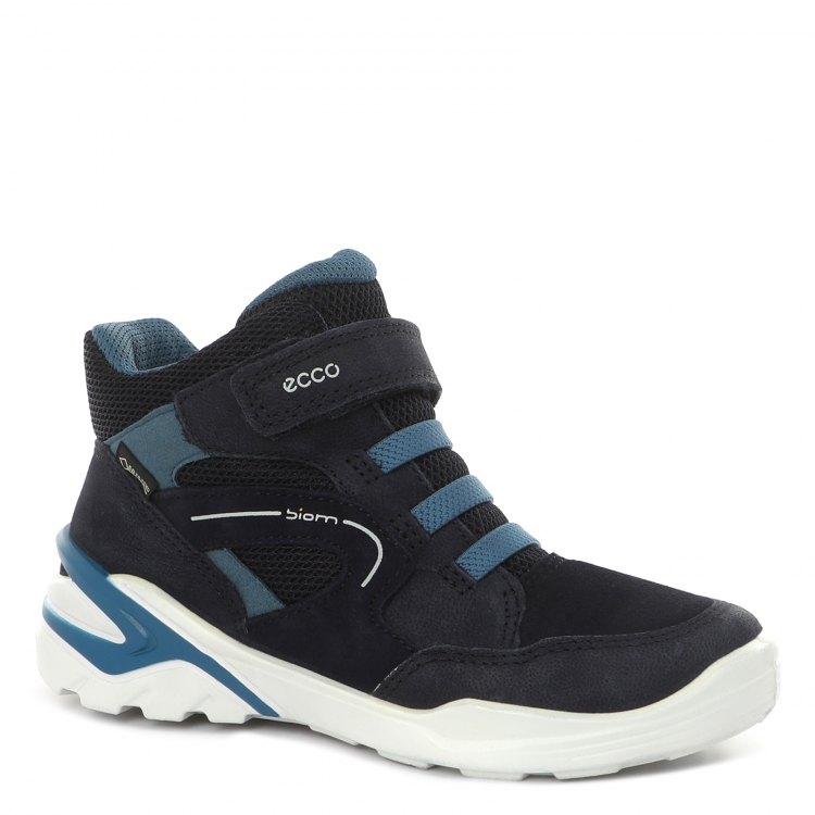 Ecco 34 2025