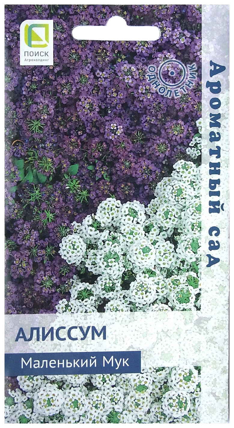 Семена алиссум Поиск Маленький мук 3 уп. – купить в Москве, цены в  интернет-магазинах на Мегамаркет