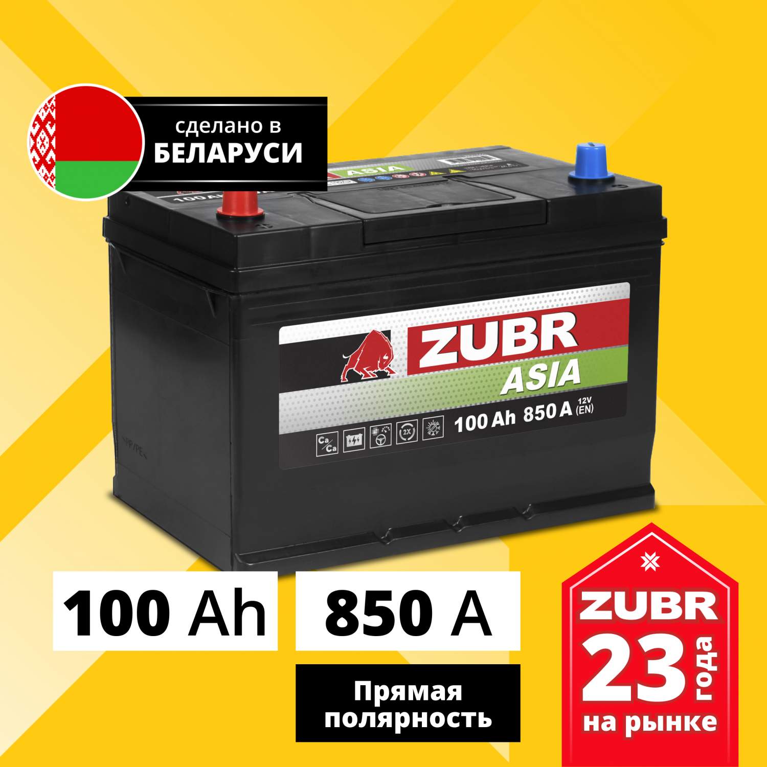 Купить аккумулятор автомобильный ZUBR Premium Asia 100 Ач 900 А прямая  полярность ZPA1001, цены на Мегамаркет | Артикул: 600012915251