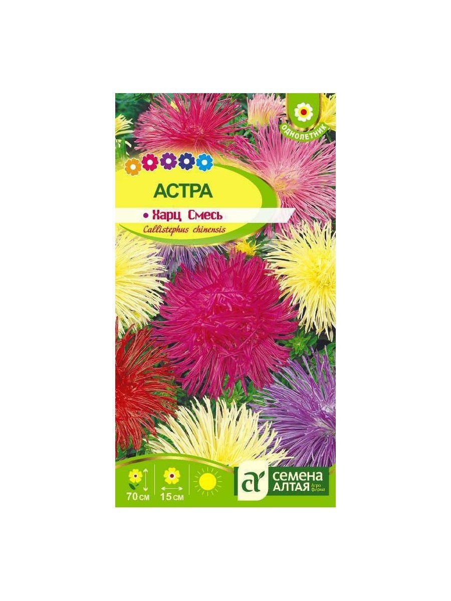 Яркие и разноцветные цветы