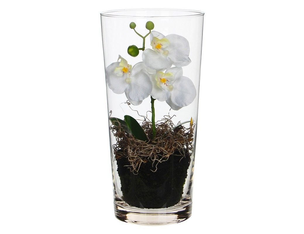 Orchid and Succulent Single Garden - orchid - succulents - bubble bowl -Beneva F