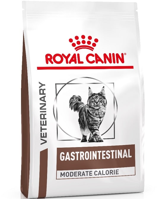 Купить сухой корм для кошек ROYAL CANIN Gastrointestinal при патологии ЖКТ,  0.4кг, цены на Мегамаркет | Артикул: 100028671304