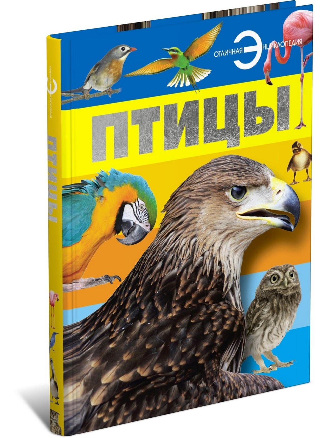 Книги о птицах. Птицы. Энциклопедия. Детская энциклопедия. Птицы. Отличная энциклопедия птицы.