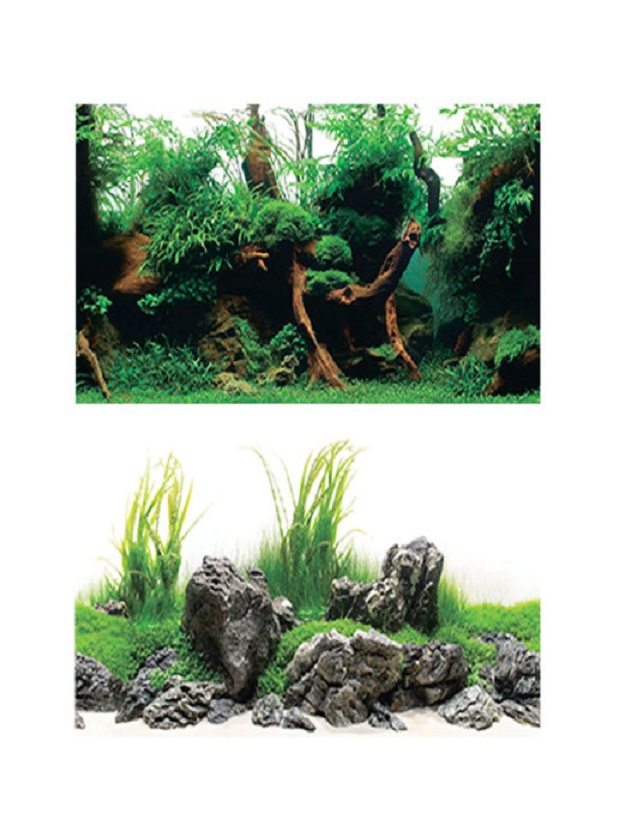 Купить фон для аквариума Barbus Зеленый рай, плотный, двухсторонний, 30 x  62 см, цены на Мегамаркет | Артикул: 100029199963