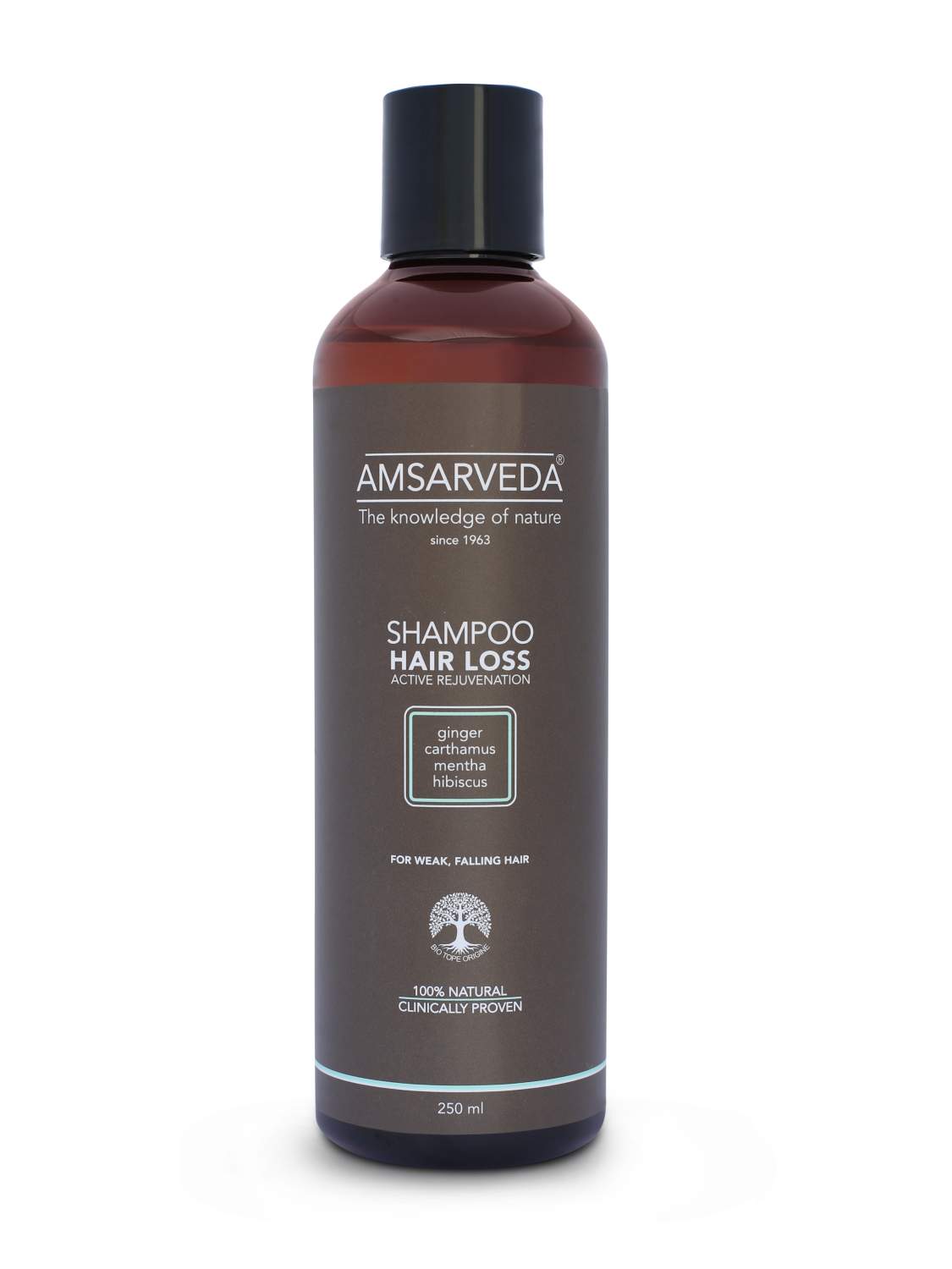 Купить шампунь AMSARVEDA с мятой, амлой и имбирем Shampoo Hair Loss Active  Rejuvenation, 250 мл, цены на Мегамаркет | Артикул: 600004874504