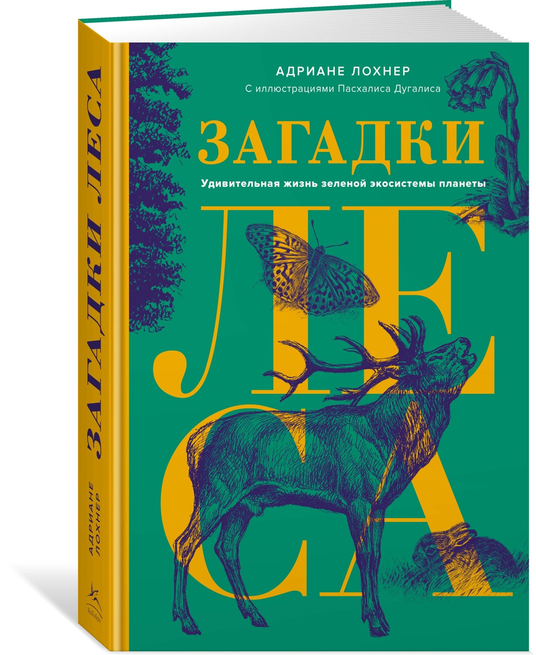 Загадки леса. Удивительная жизнь зеленой экосистемы планеты - купить в  Москве, цены на Мегамаркет | 100067452367