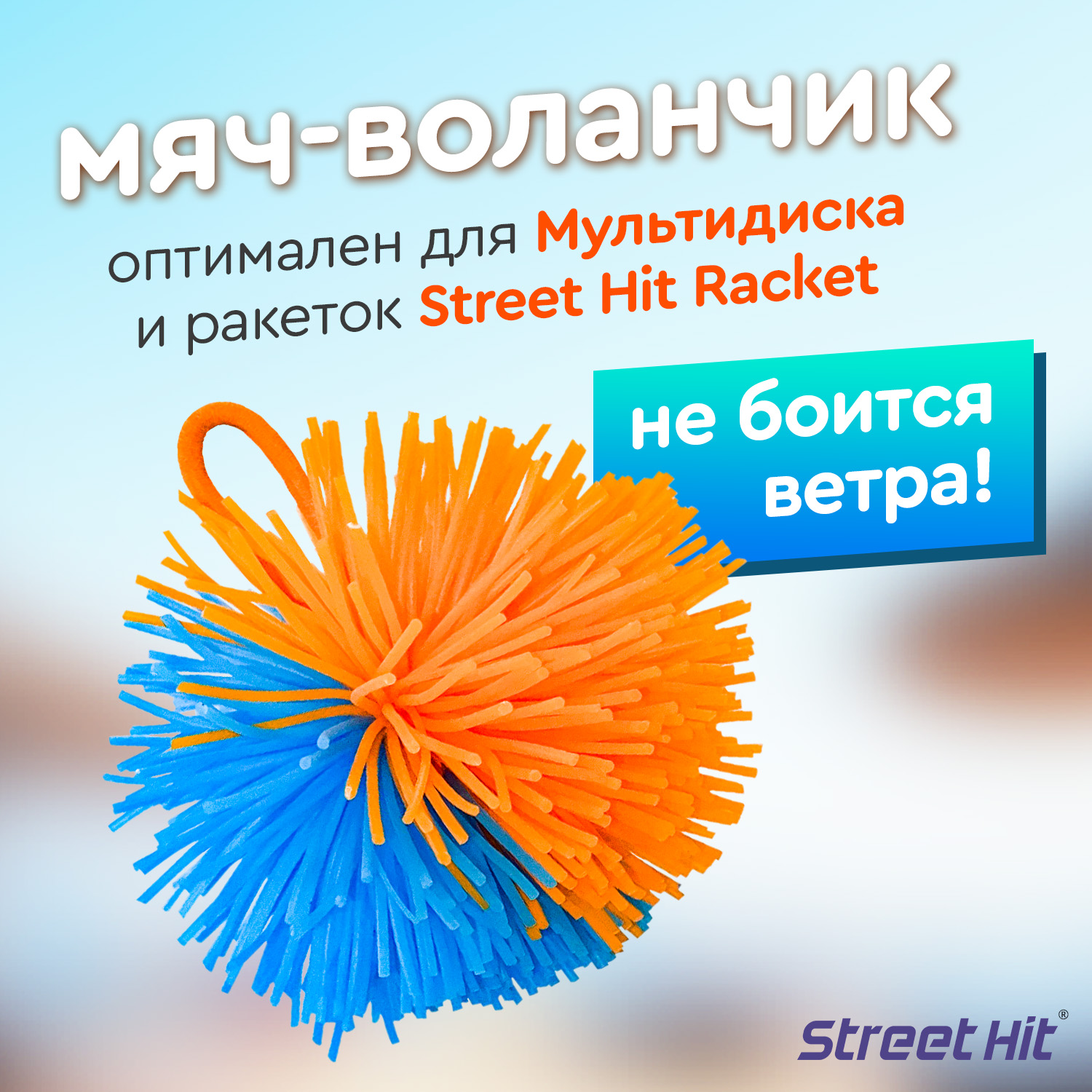 Мяч-воланчик Street Hit для Мультидиска и бадминтона - купить в Москве,  цены на Мегамаркет | 600002093668