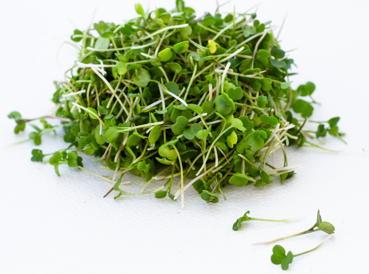 Комнатные растения все секреты выращивания Microgreens garden, Microgreens, Gr