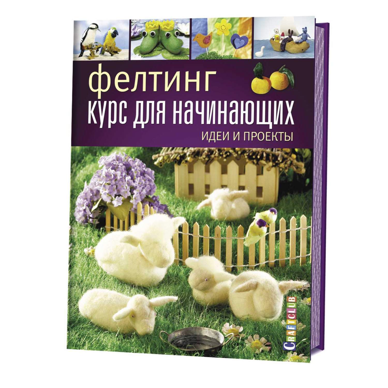 Книга Фелтинг. Курс для начинающих. Идеи и проекты. Руководство - купить  дома и досуга в интернет-магазинах, цены на Мегамаркет |