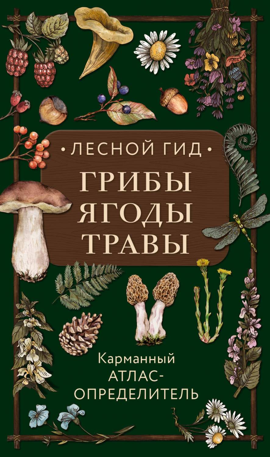 Лесной гид: грибы, ягоды, травы. Карманный атлас-определитель - купить дома  и досуга в интернет-магазинах, цены на Мегамаркет | 978-5-699-99701-5