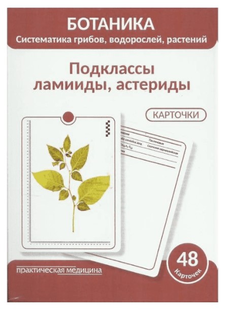 Ботаника. Систематика грибов, водорослей, растений. Подклассы ламииды ...