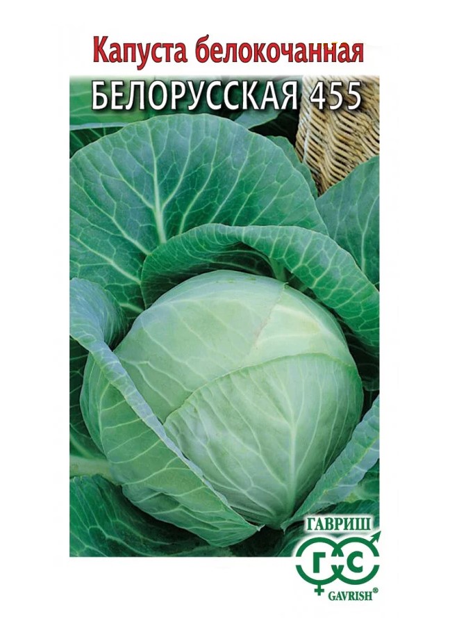 Характеристики капусты Белорусской 455