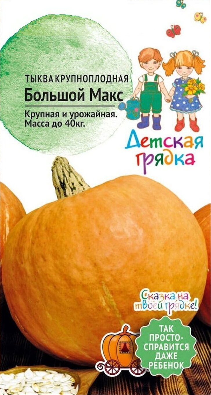 Семена тыква Большой Макс Семена от Октябрины Ганичкиной 1,5 г - отзывы  покупателей на Мегамаркет | 100029987375