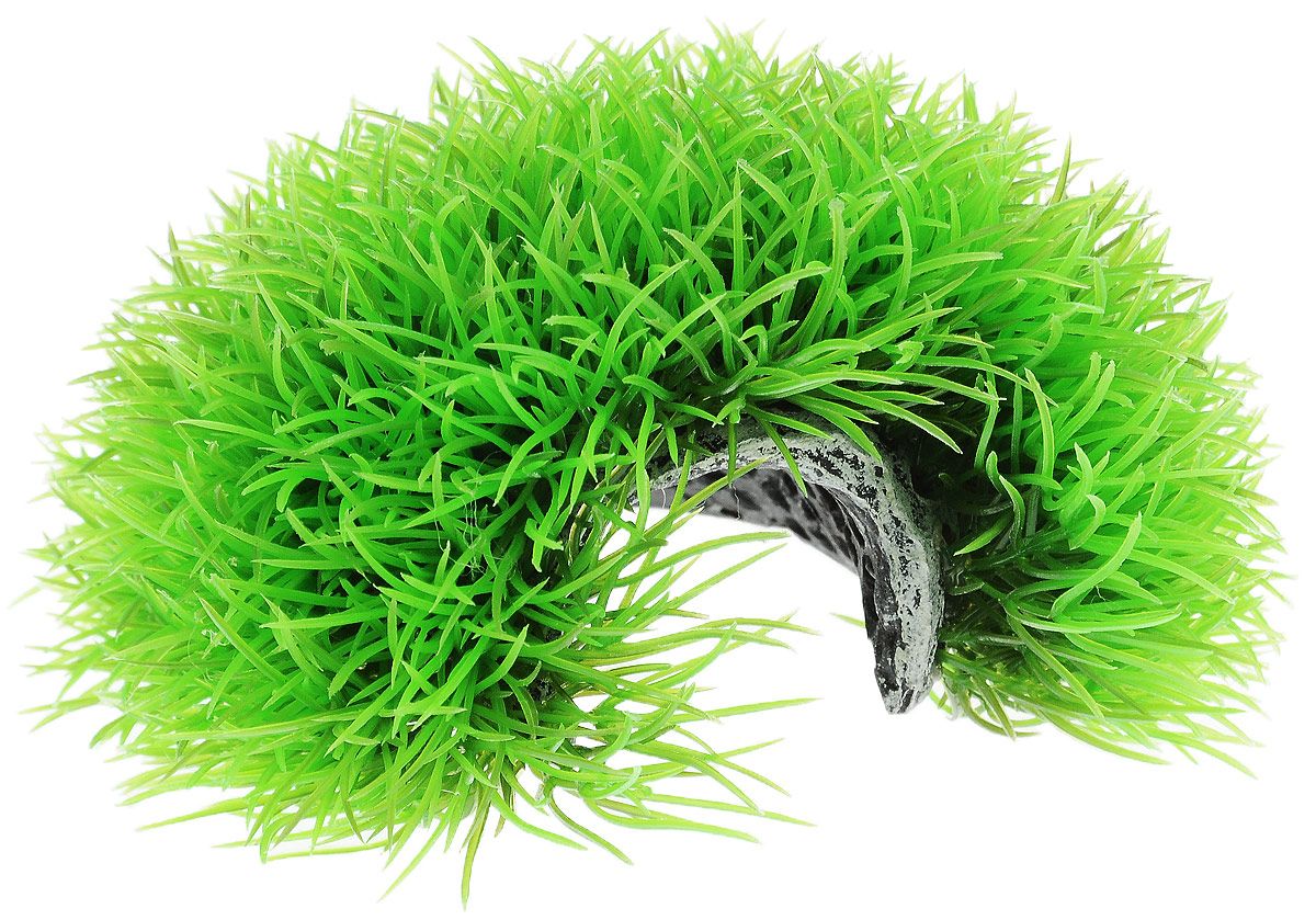 Купить искусственное растение для аквариума Barbus Мохнатая норка Plant 063  15 см, пластик, цены на Мегамаркет | Артикул: 100026059202